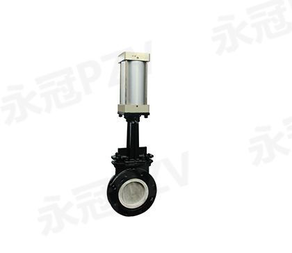 陶瓷刀閘閥里面PZ673TC